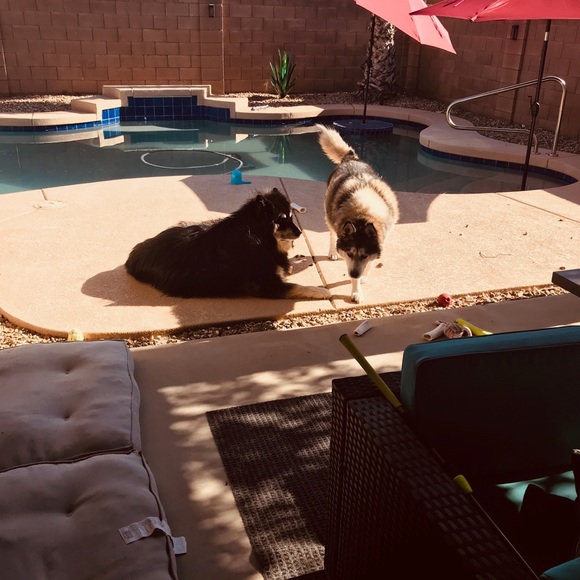 Meet your Posher, Sheri - Picture 4 of 7